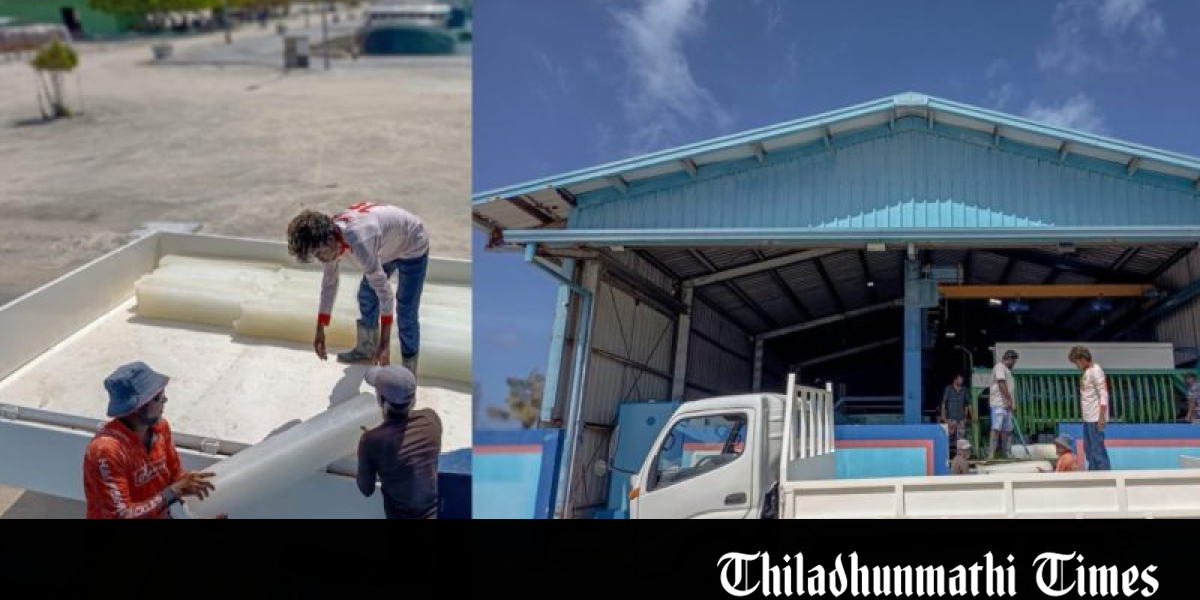 Ihavandhoo Fishermen Relieved as Council Provides Vehicle for Ice Transport